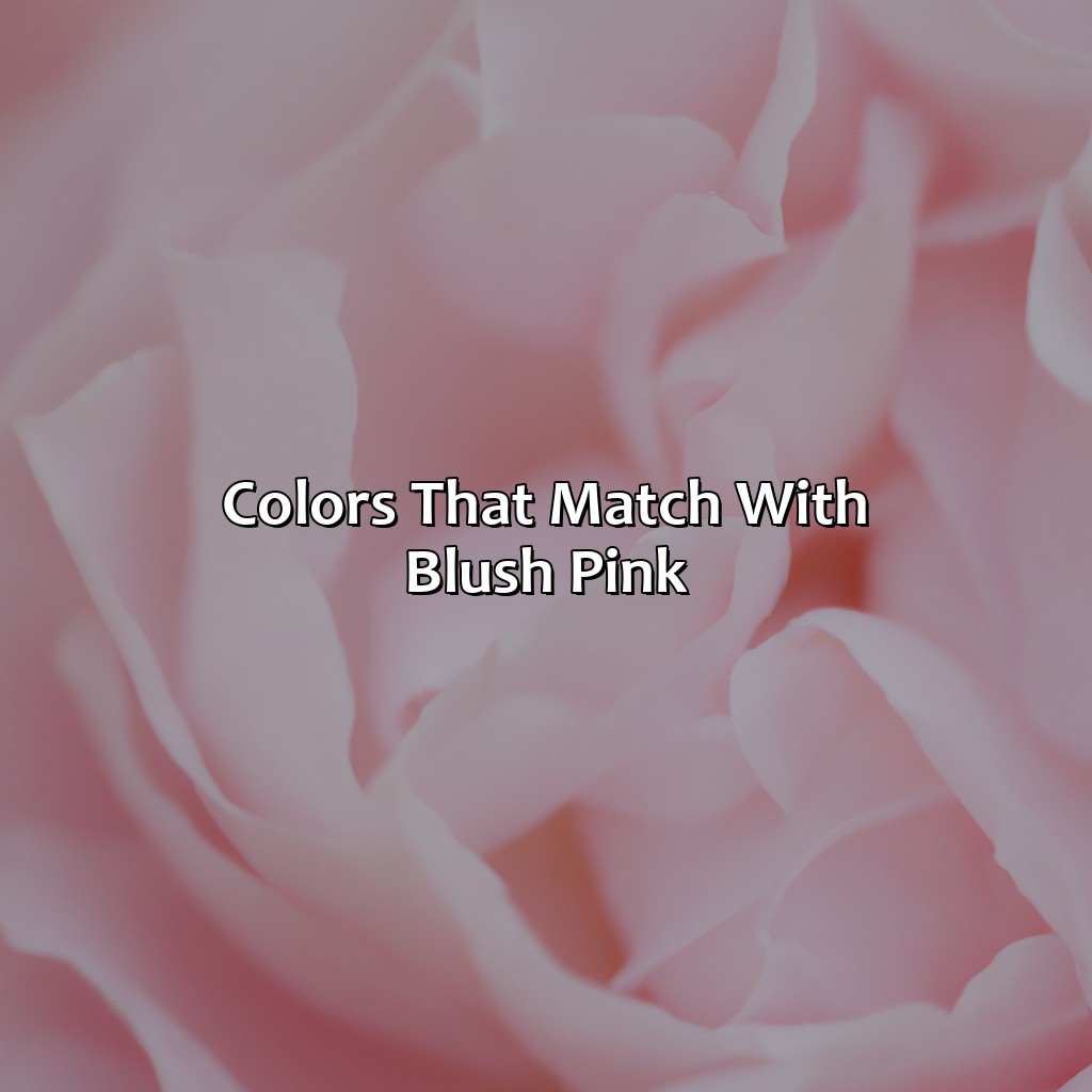 Colors That Match With Blush Pink  - What Color Goes With Blush Pink, 