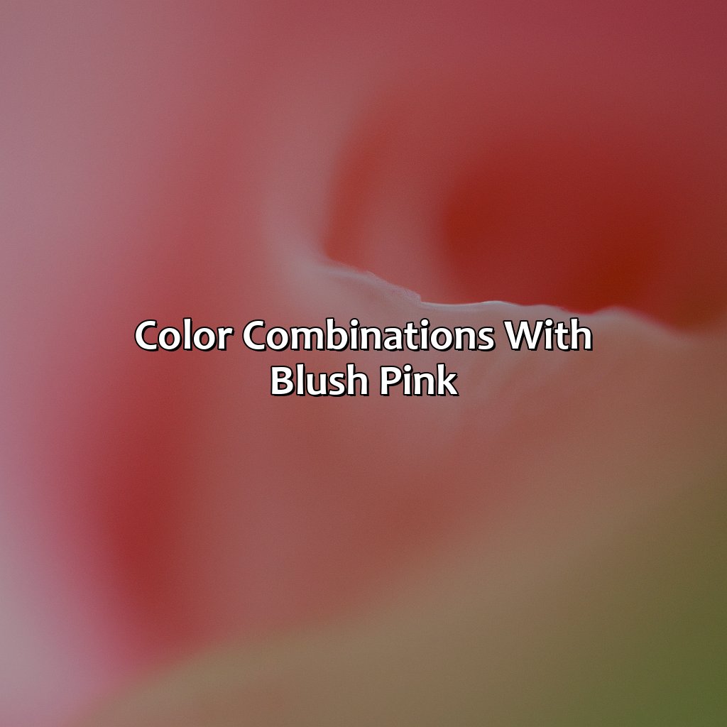 Color Combinations With Blush Pink  - What Color Goes With Blush Pink, 