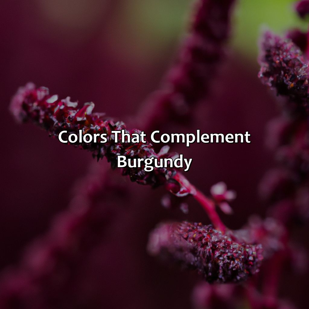Colors That Complement Burgundy  - What Color Goes With Burgundy, 
