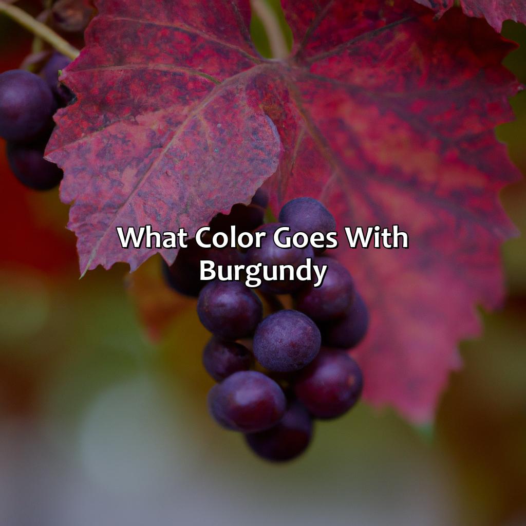 What Color Goes With Burgundy - colorscombo.com
