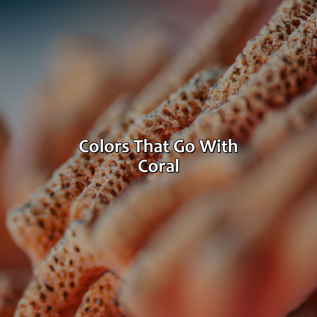 Colors That Go With Coral  - What Color Goes With Coral, 