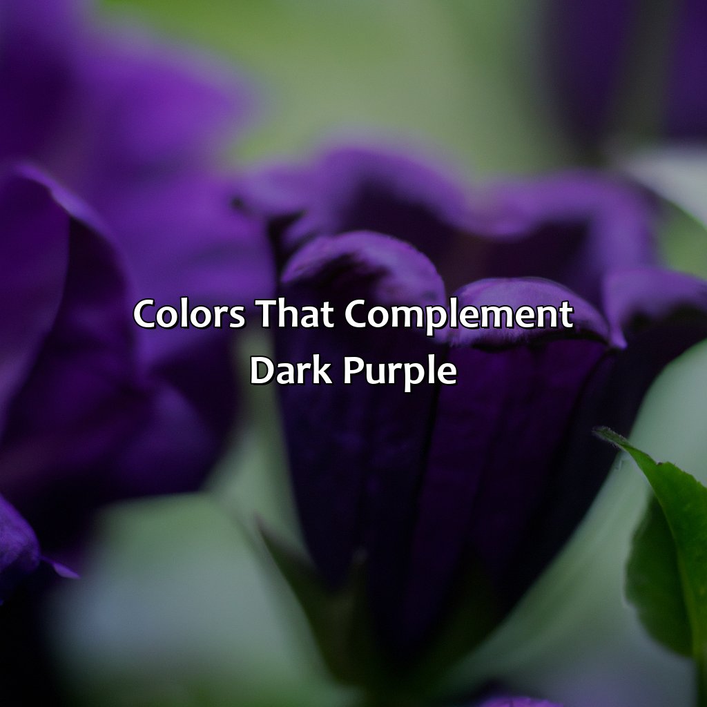 Colors That Complement Dark Purple  - What Color Goes With Dark Purple, 