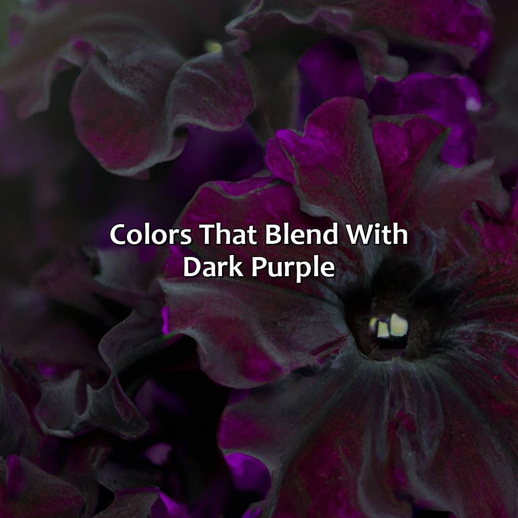 Colors That Blend With Dark Purple  - What Color Goes With Dark Purple, 