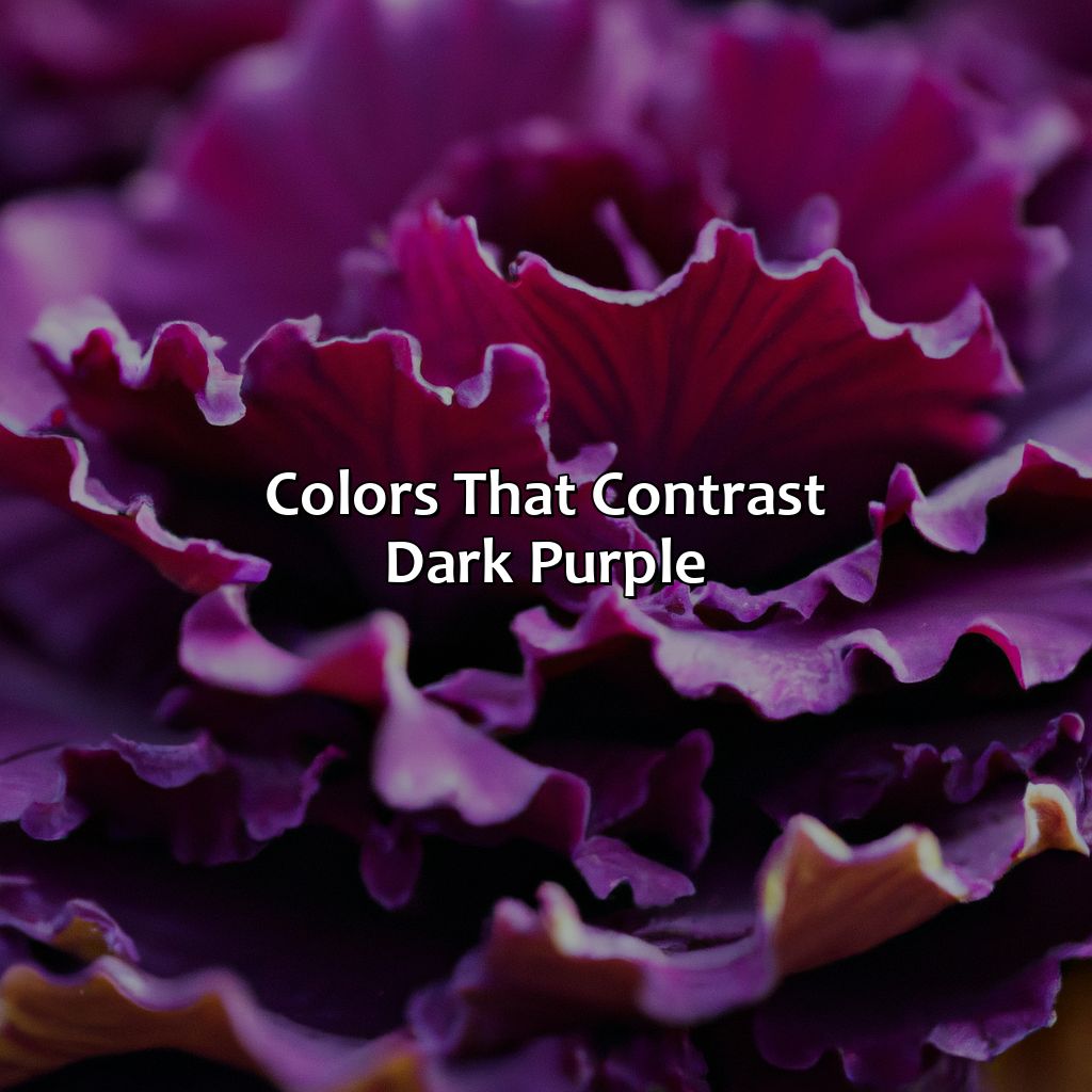 Colors That Contrast Dark Purple  - What Color Goes With Dark Purple, 