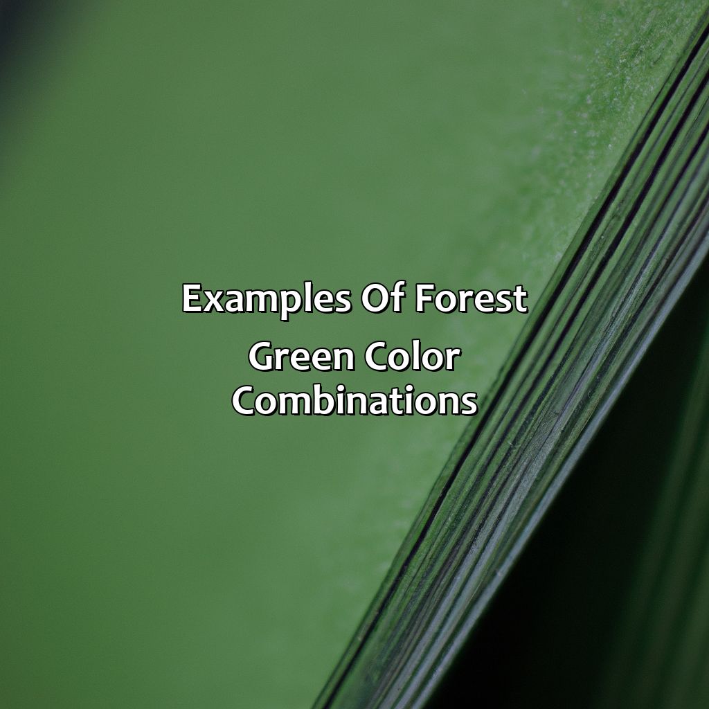 Examples Of Forest Green Color Combinations  - What Color Goes With Forest Green, 