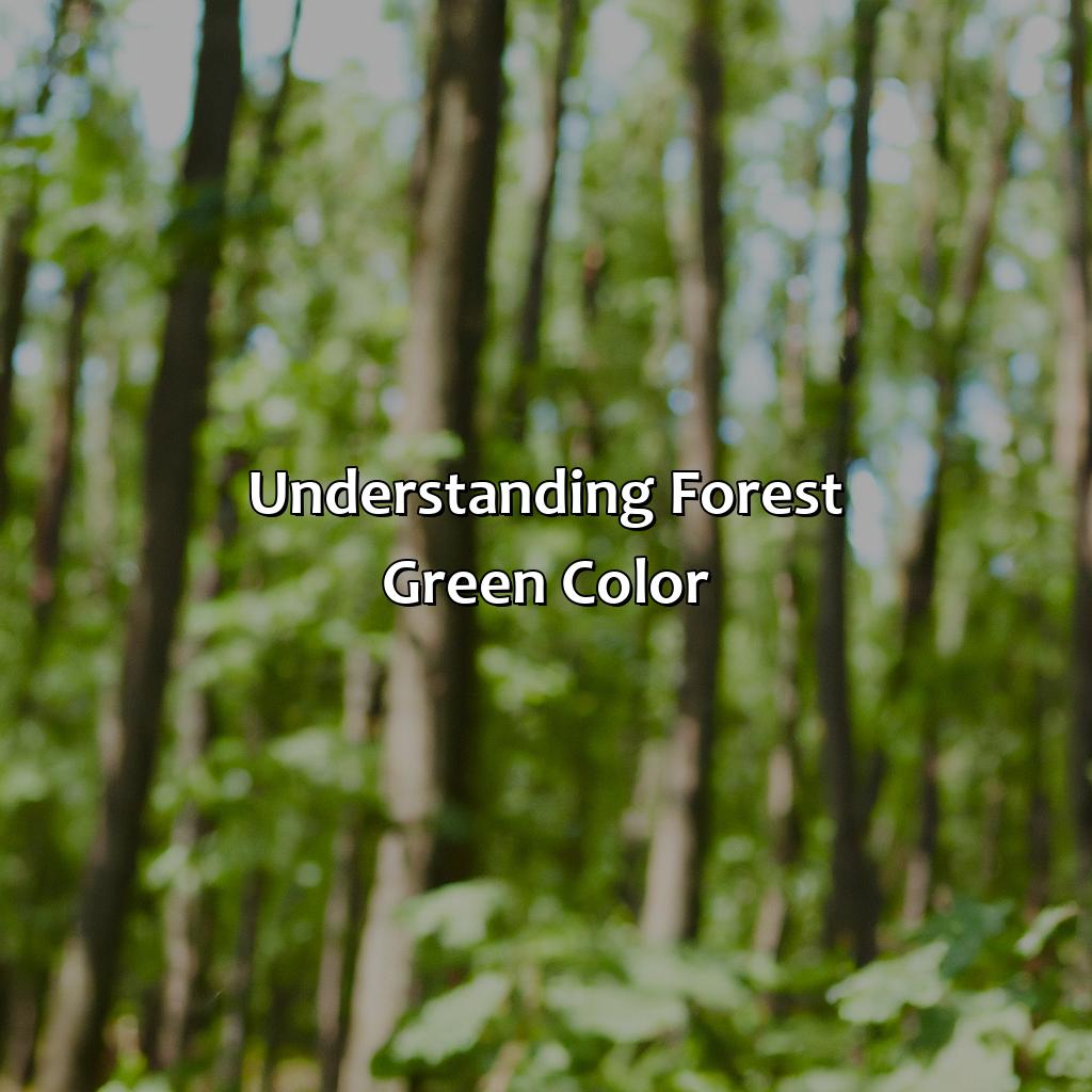 Understanding Forest Green Color  - What Color Goes With Forest Green, 