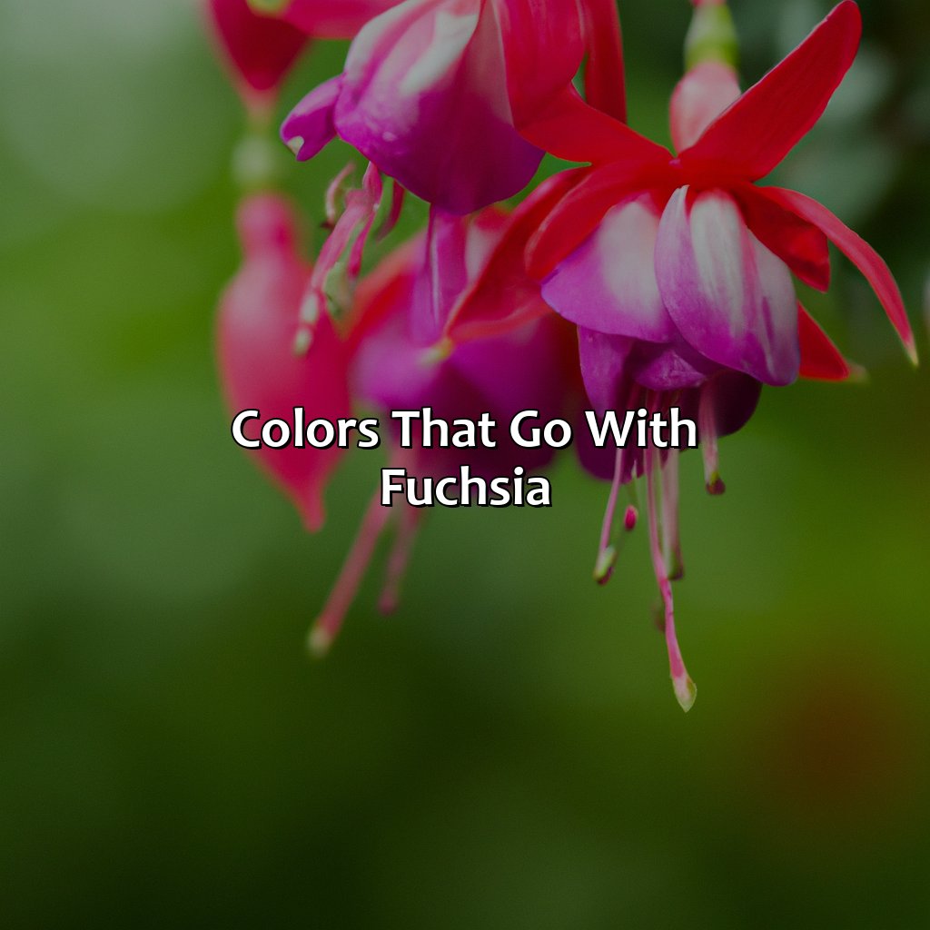 Colors That Go With Fuchsia  - What Color Goes With Fuchsia, 