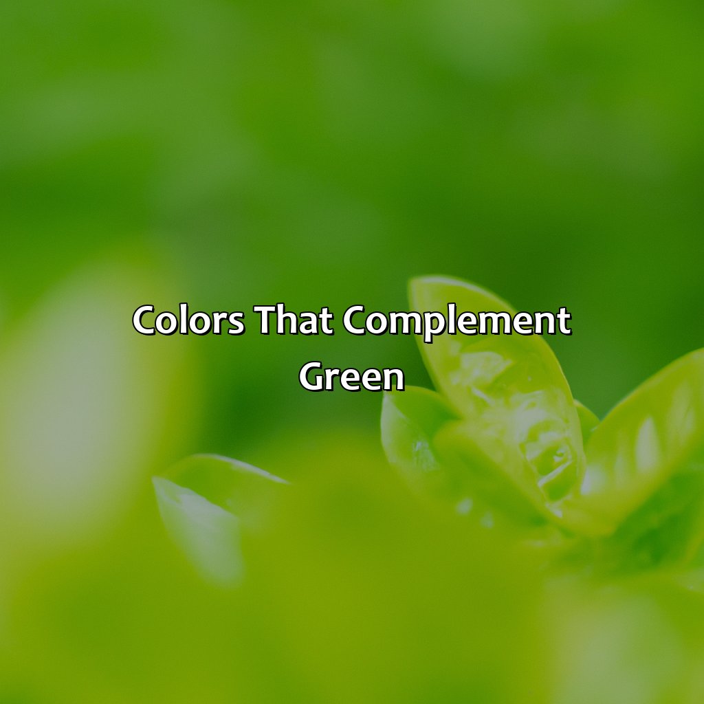 Colors That Complement Green  - What Color Goes With Green, 