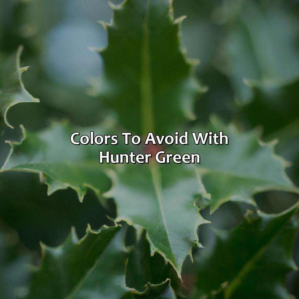 Colors To Avoid With Hunter Green  - What Color Goes With Hunter Green, 