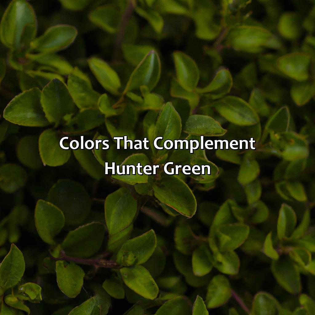 Colors That Complement Hunter Green  - What Color Goes With Hunter Green, 