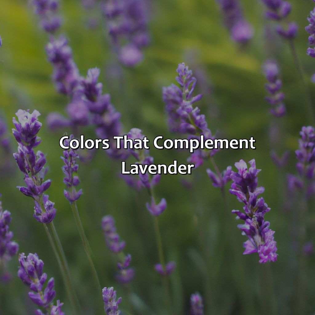 Colors That Complement Lavender  - What Color Goes With Lavender, 