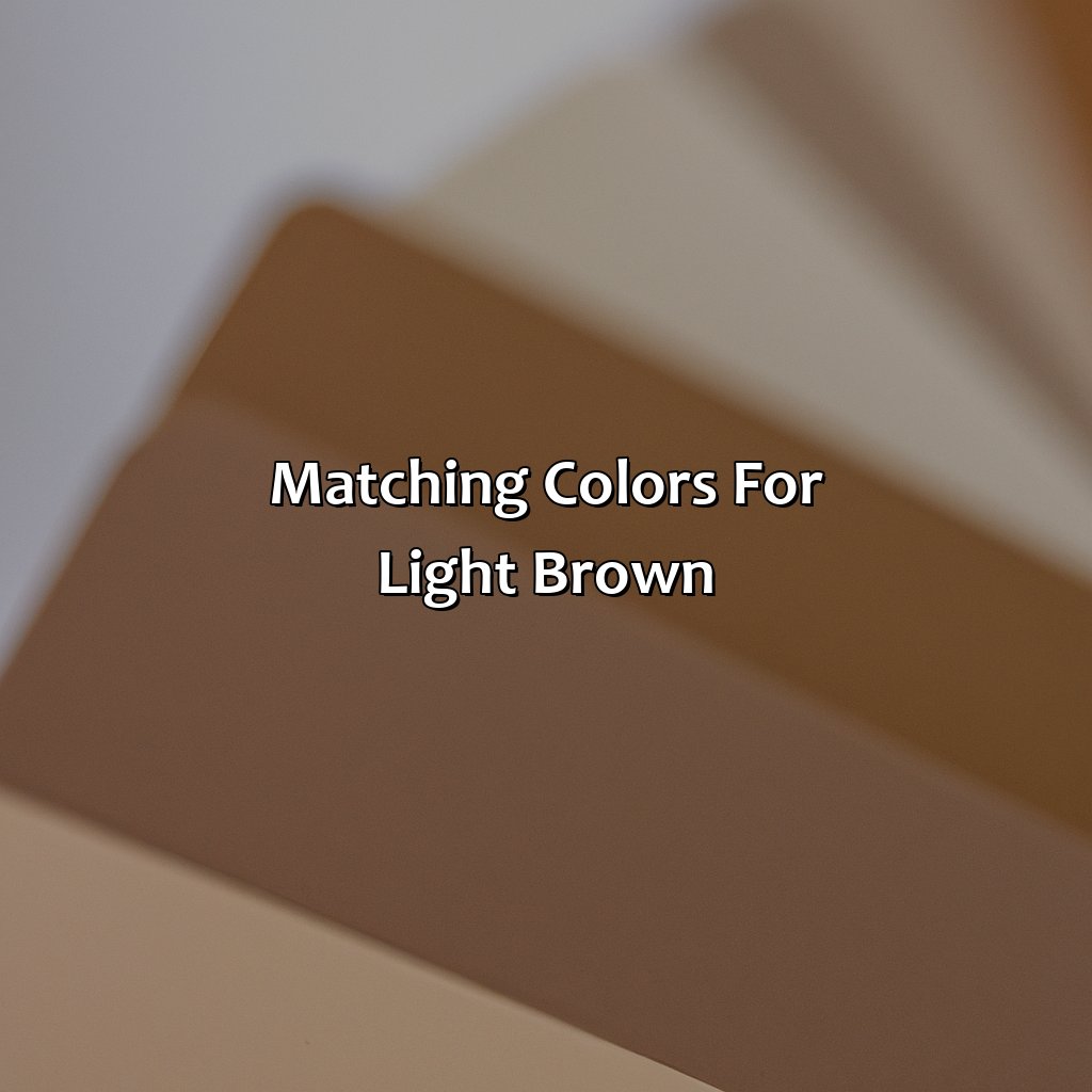 Matching Colors For Light Brown  - What Color Goes With Light Brown, 