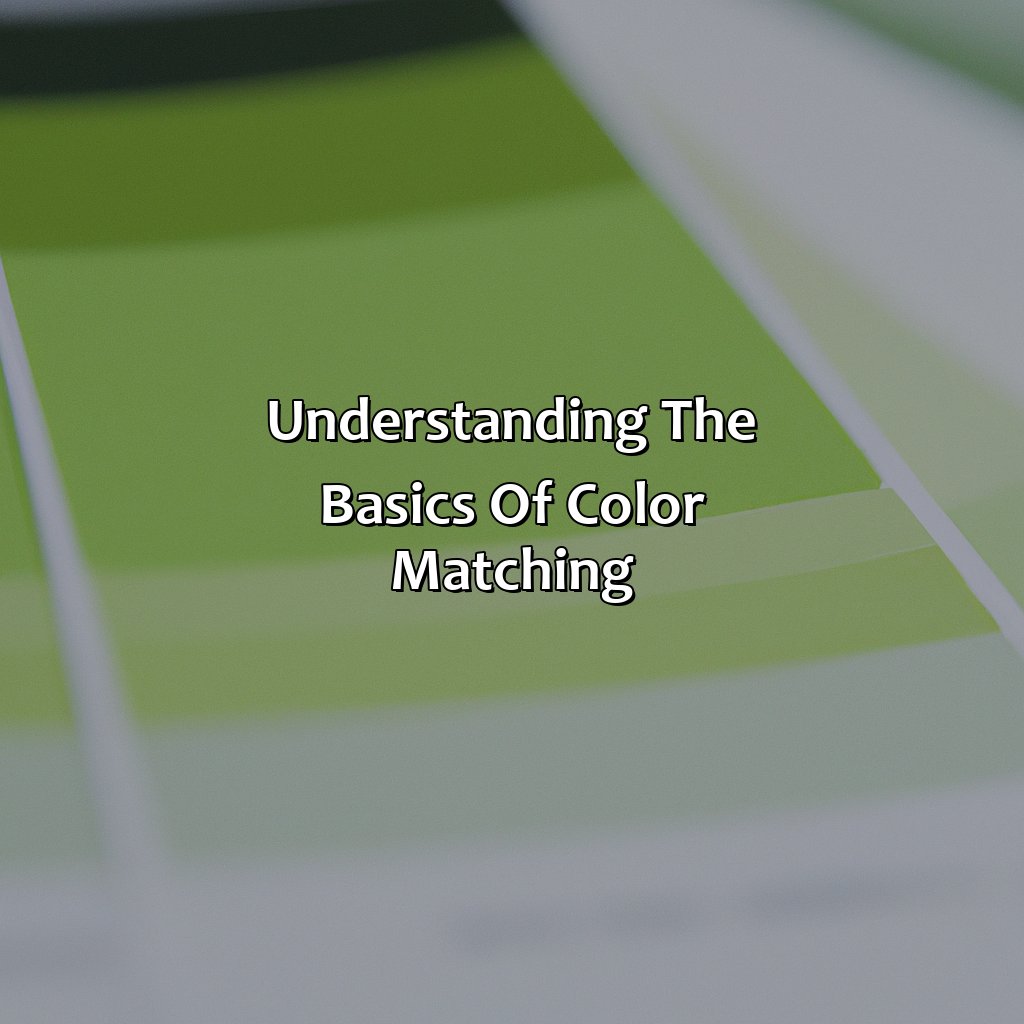 Understanding The Basics Of Color Matching  - What Color Goes With Light Green, 
