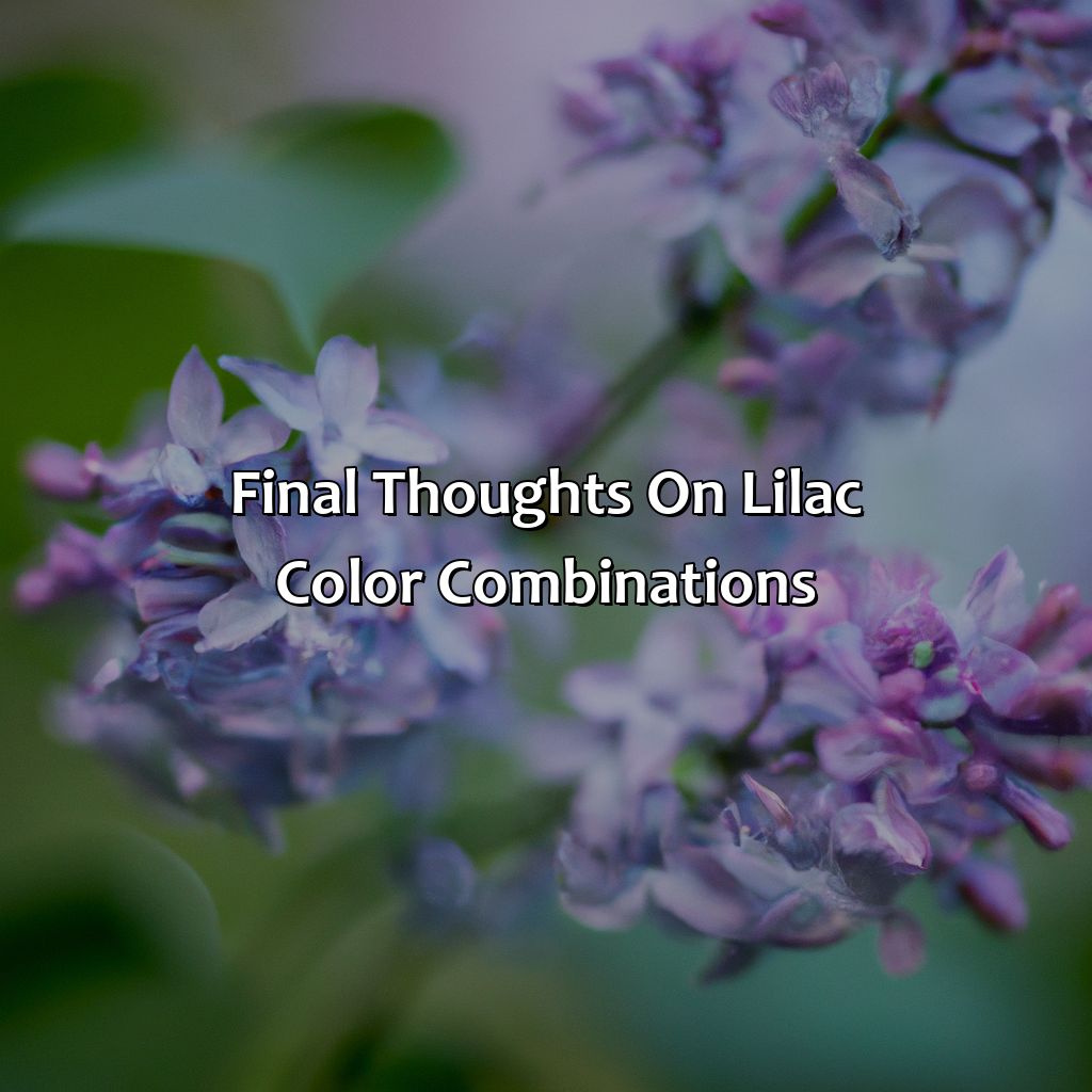 Final Thoughts On Lilac Color Combinations  - What Color Goes With Lilac, 
