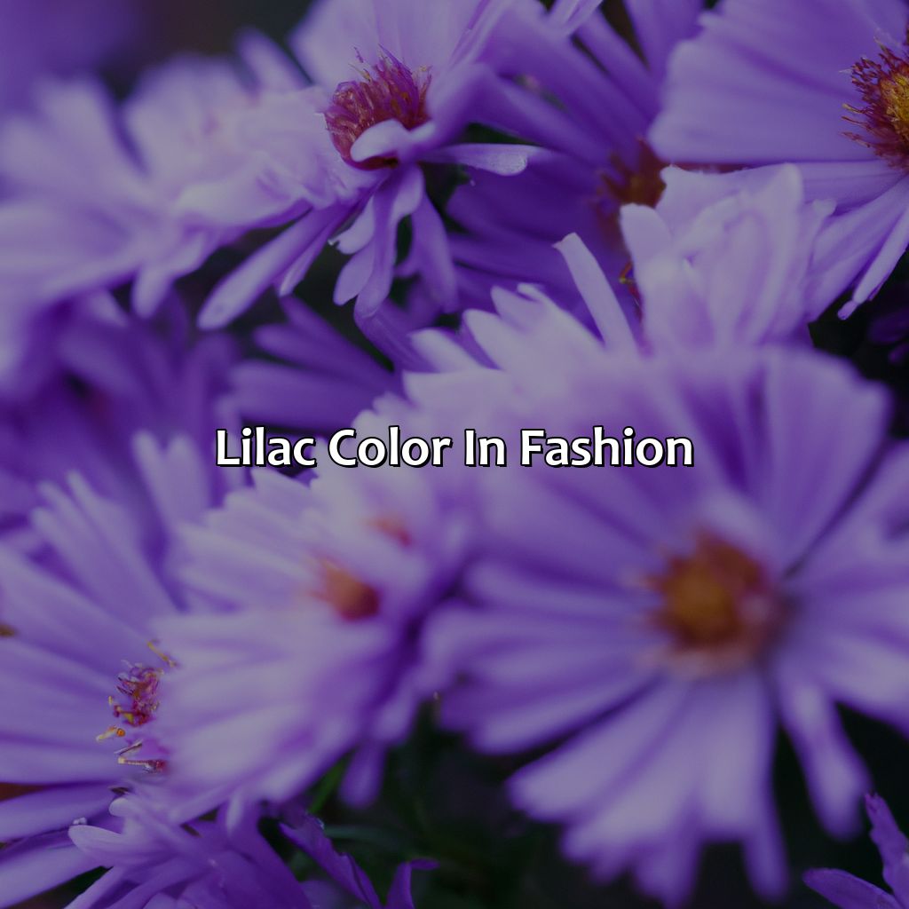 Lilac Color In Fashion  - What Color Goes With Lilac, 