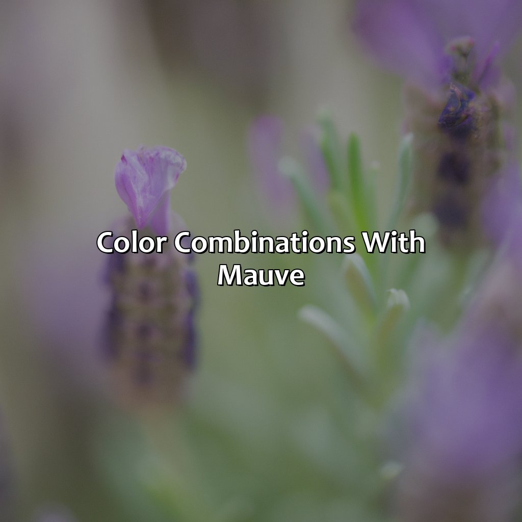 Color Combinations With Mauve  - What Color Goes With Mauve, 