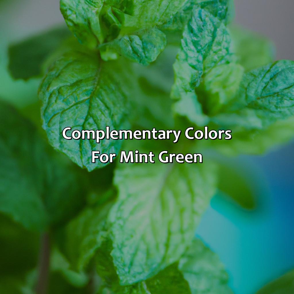 Complementary Colors For Mint Green  - What Color Goes With Mint Green, 