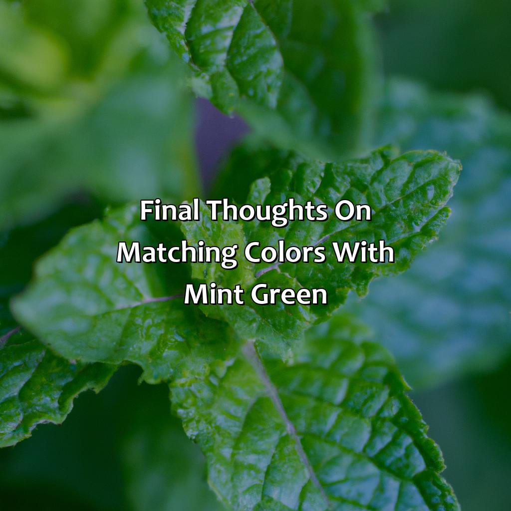 Final Thoughts On Matching Colors With Mint Green  - What Color Goes With Mint Green, 