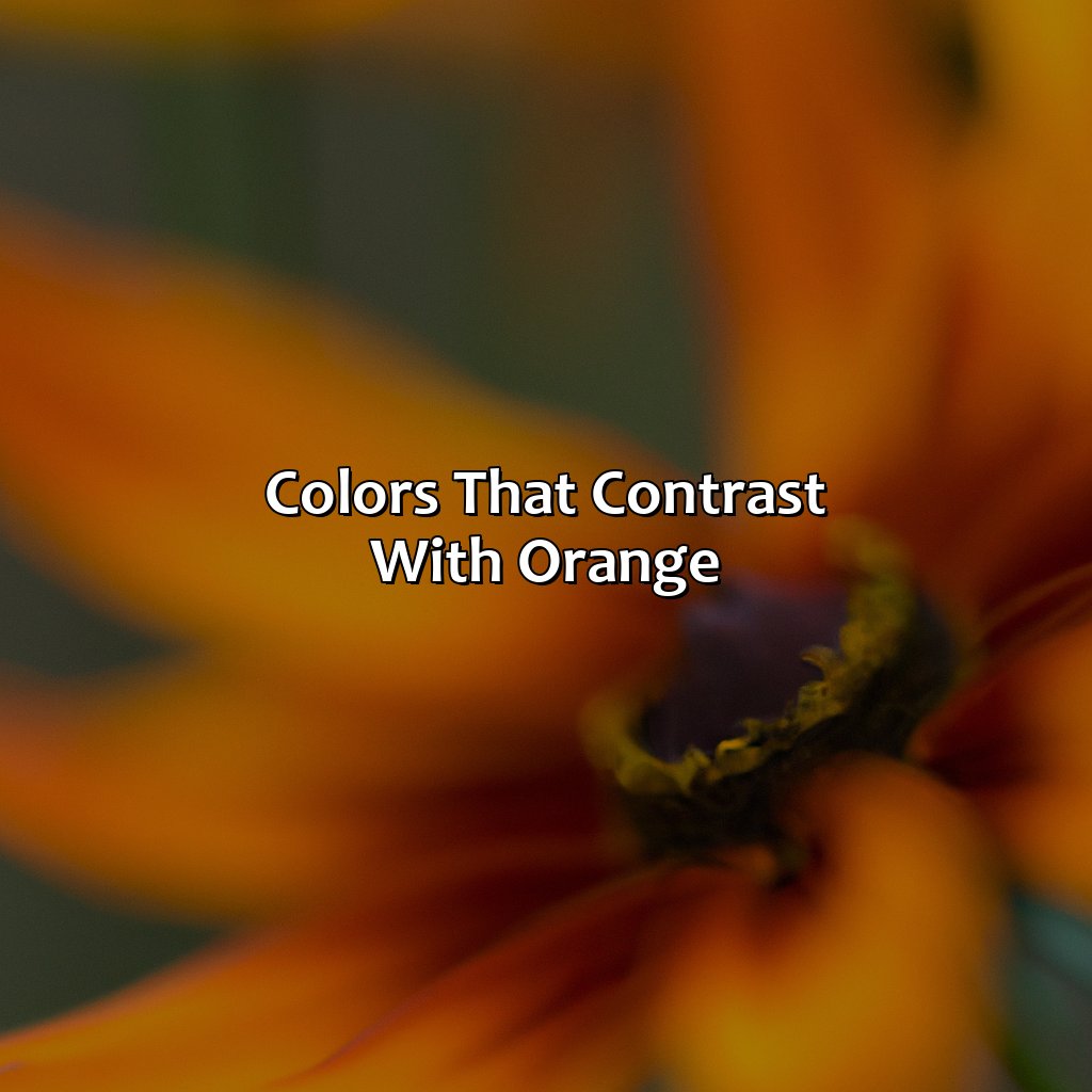 Colors That Contrast With Orange  - What Color Goes With Orange, 