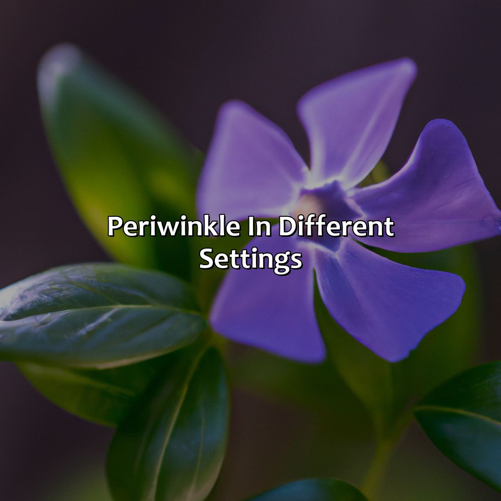 Periwinkle In Different Settings - What Color Goes With Periwinkle, 