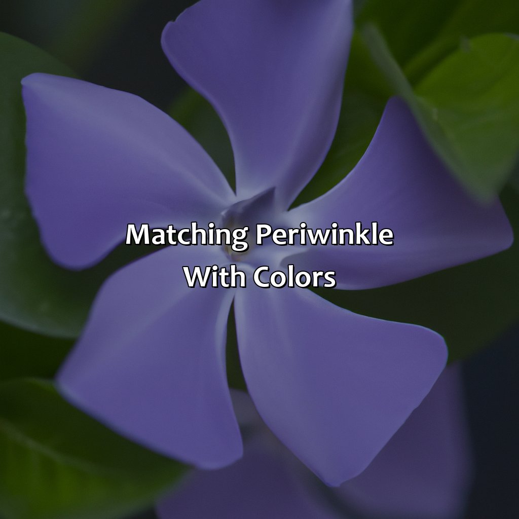 Matching Periwinkle With Colors  - What Color Goes With Periwinkle, 