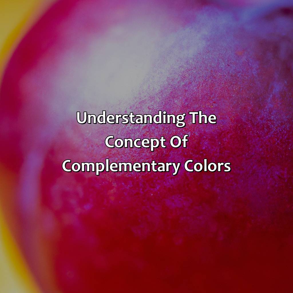 Understanding The Concept Of Complementary Colors  - What Color Goes With Plum, 