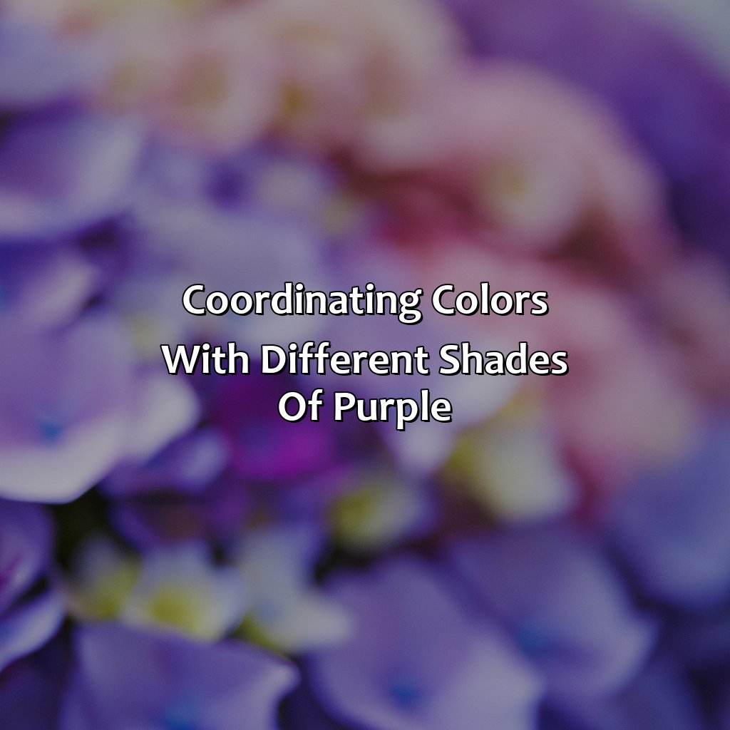 Coordinating Colors With Different Shades Of Purple  - What Color Goes With Purple Clothes, 