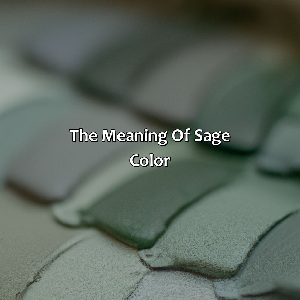 The Meaning Of Sage Color  - What Color Goes With Sage, 