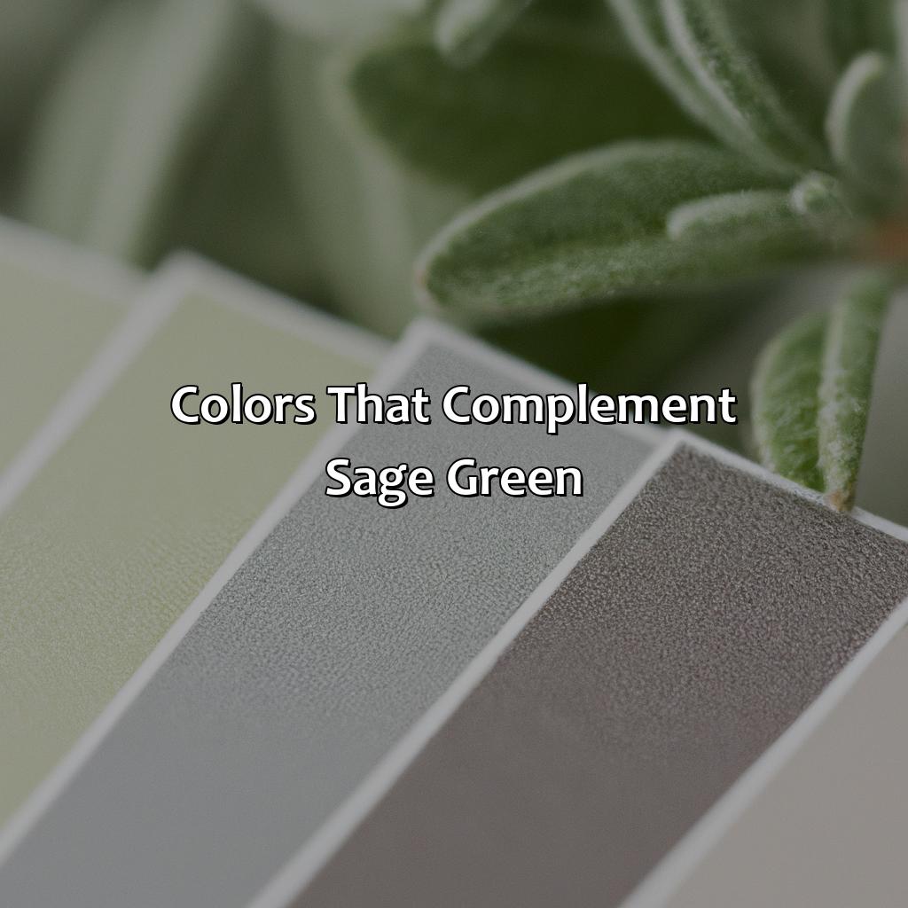 Colors That Complement Sage Green  - What Color Goes With Sage Green, 