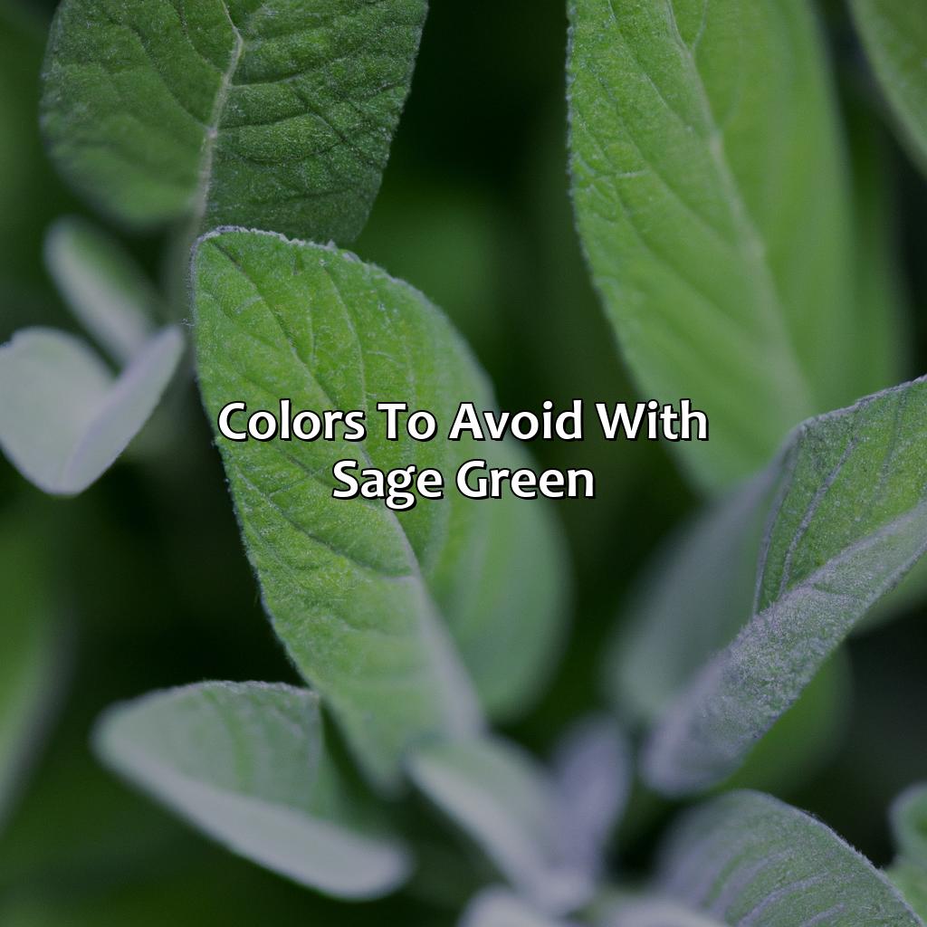 Colors To Avoid With Sage Green  - What Color Goes With Sage Green, 
