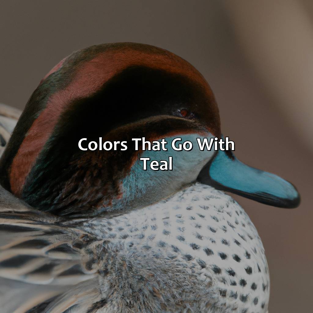 Colors That Go With Teal  - What Color Goes With Teal, 