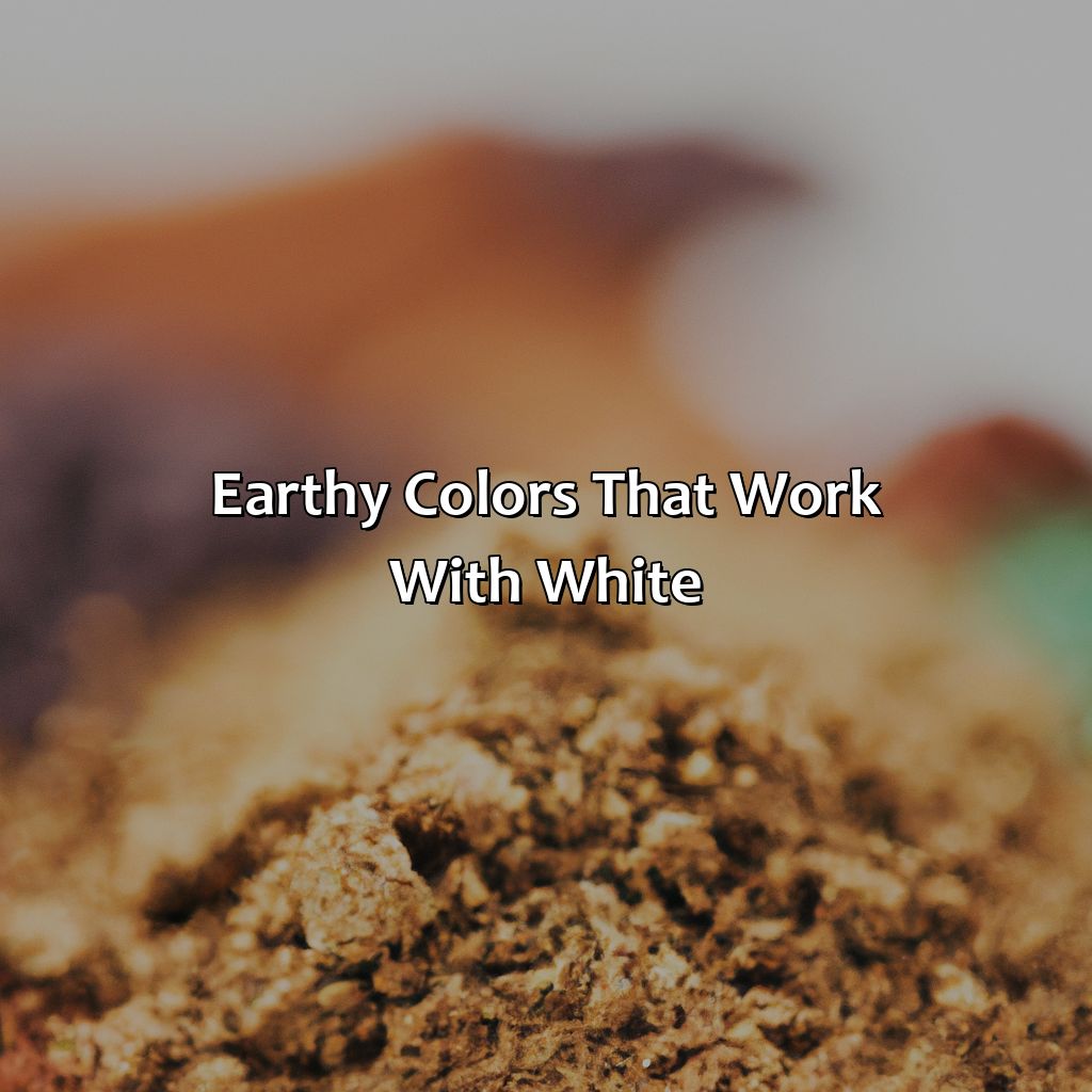Earthy Colors That Work With White  - What Color Goes With White, 