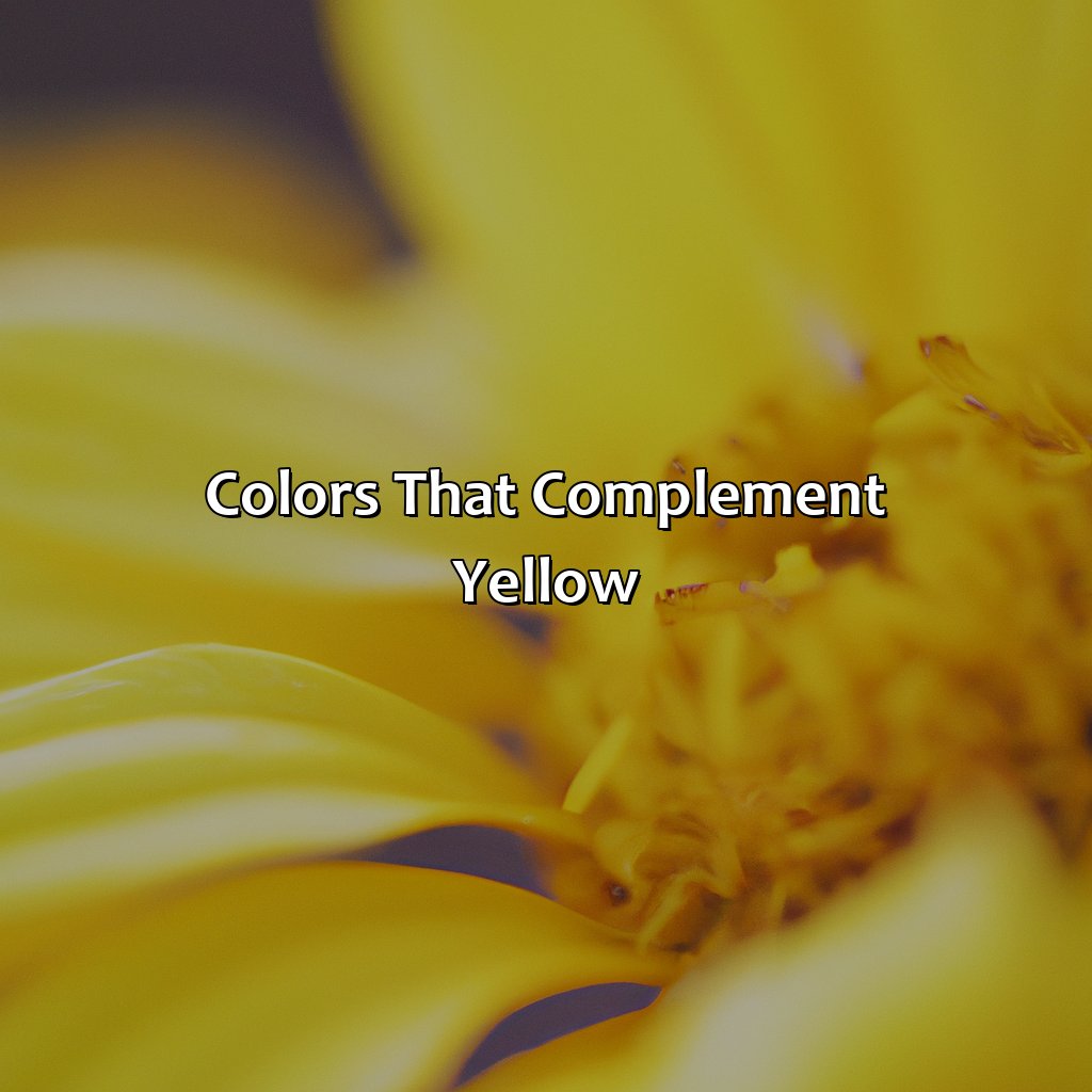 Colors That Complement Yellow  - What Color Goes With Yellow, 