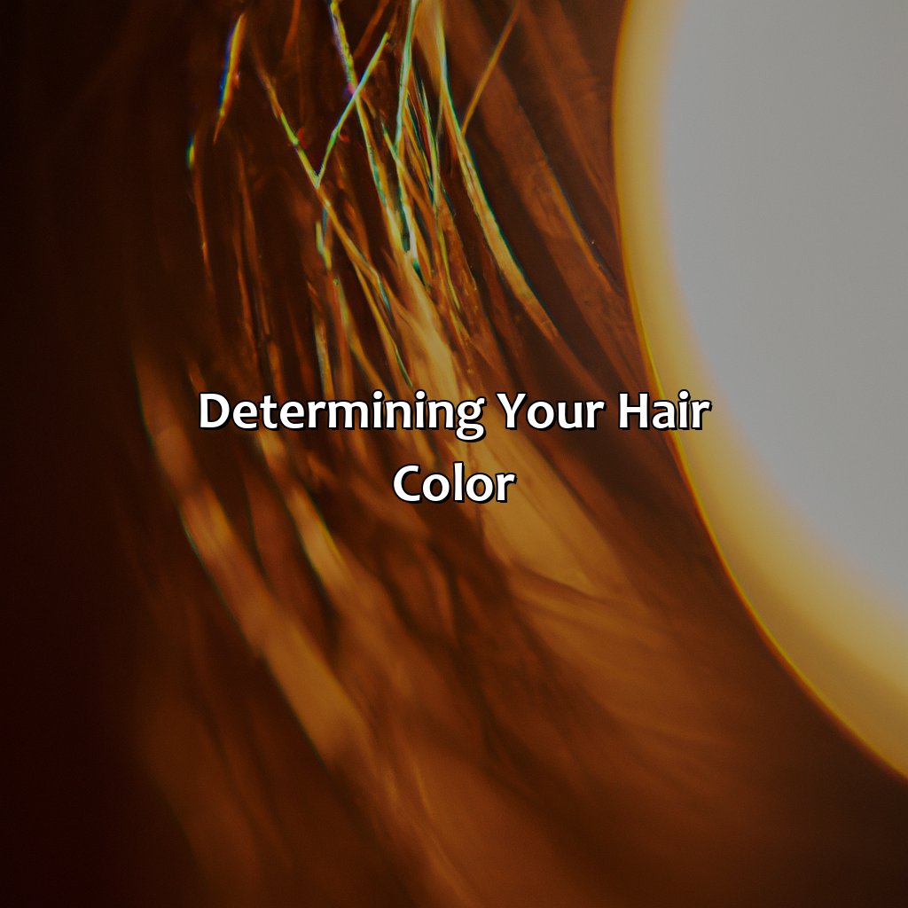Determining Your Hair Color  - What Color Hair Do I Have, 