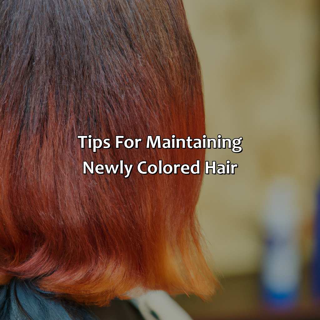 Tips For Maintaining Newly Colored Hair  - What Color Hair Looks Best On Me Quiz, 