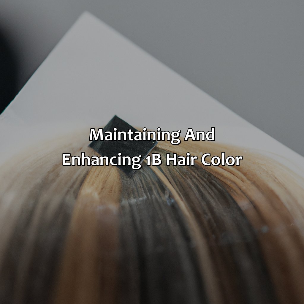 What Color Is 1B Hair - colorscombo.com