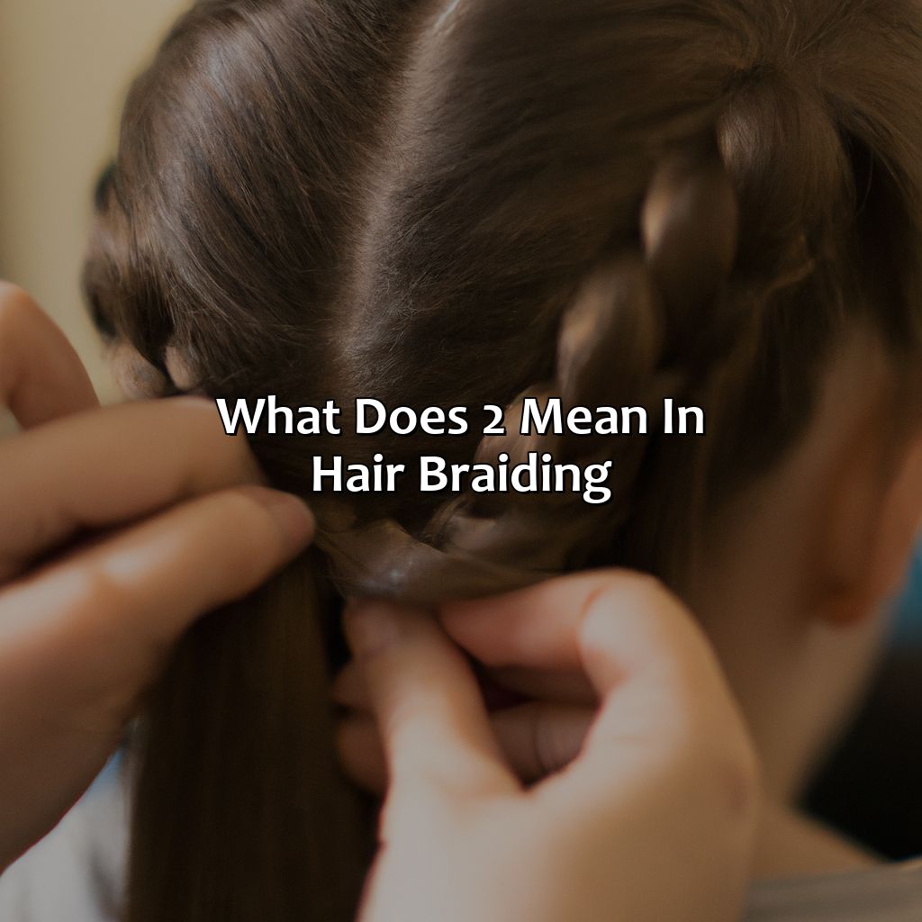 What Does "2" Mean In Hair Braiding?  - What Color Is 2 In Braiding Hair, 