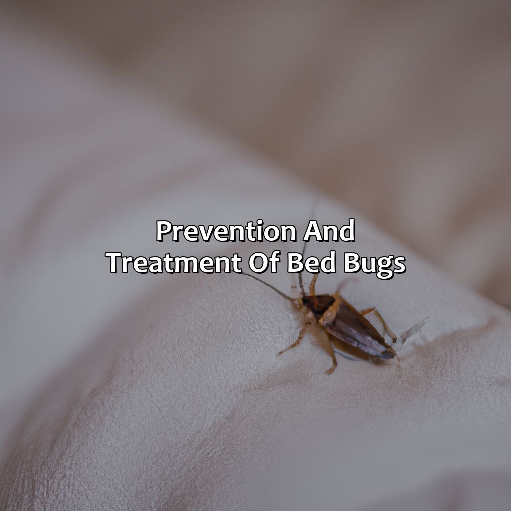 Prevention And Treatment Of Bed Bugs  - What Color Is A Bed Bug, 