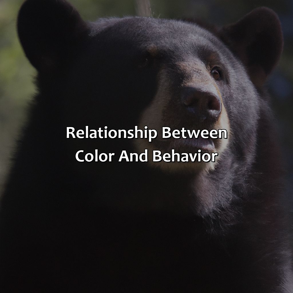 Relationship Between Color And Behavior  - What Color Is A Black Bear, 