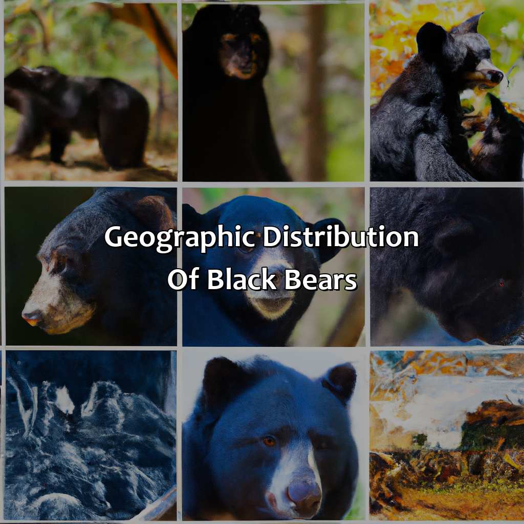 Geographic Distribution Of Black Bears  - What Color Is A Black Bear, 