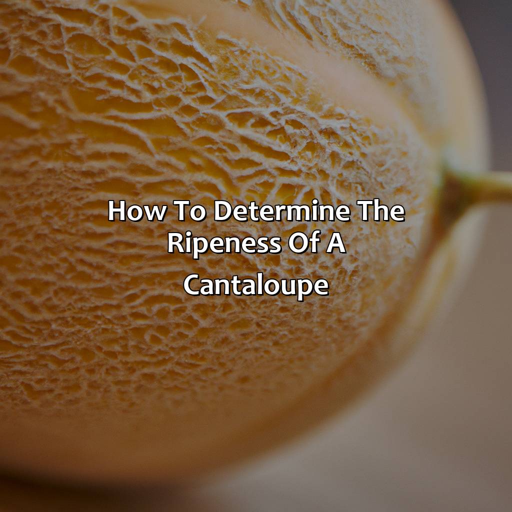 How To Determine The Ripeness Of A Cantaloupe  - What Color Is A Cantaloupe, 