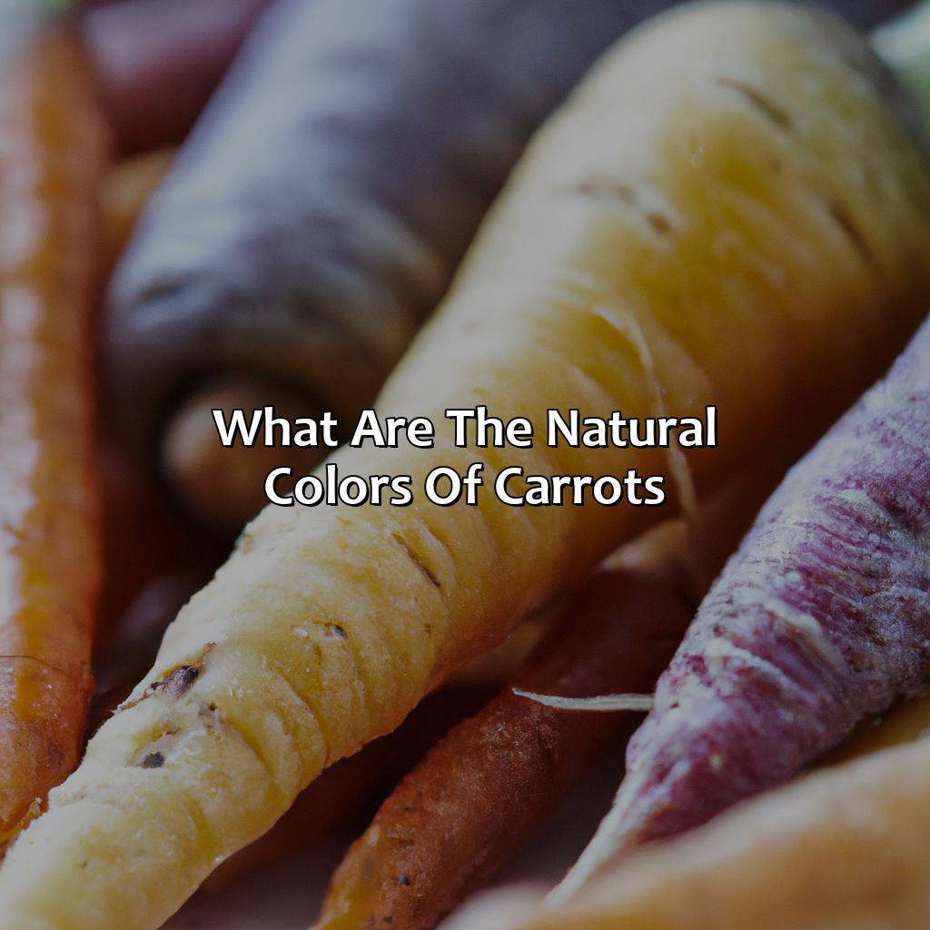 What Are The Natural Colors Of Carrots?  - What Color Is A Carrot, 