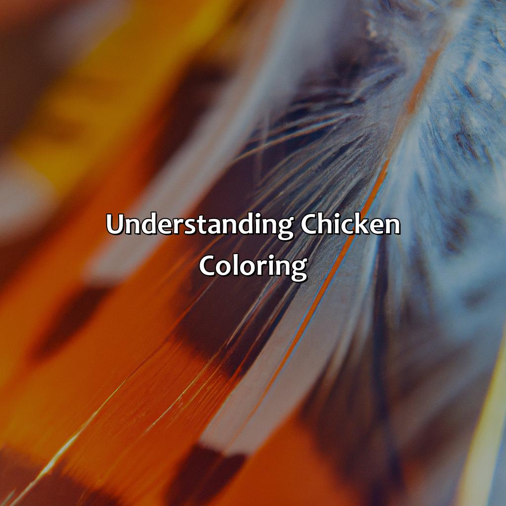 Understanding Chicken Coloring  - What Color Is A Chicken, 
