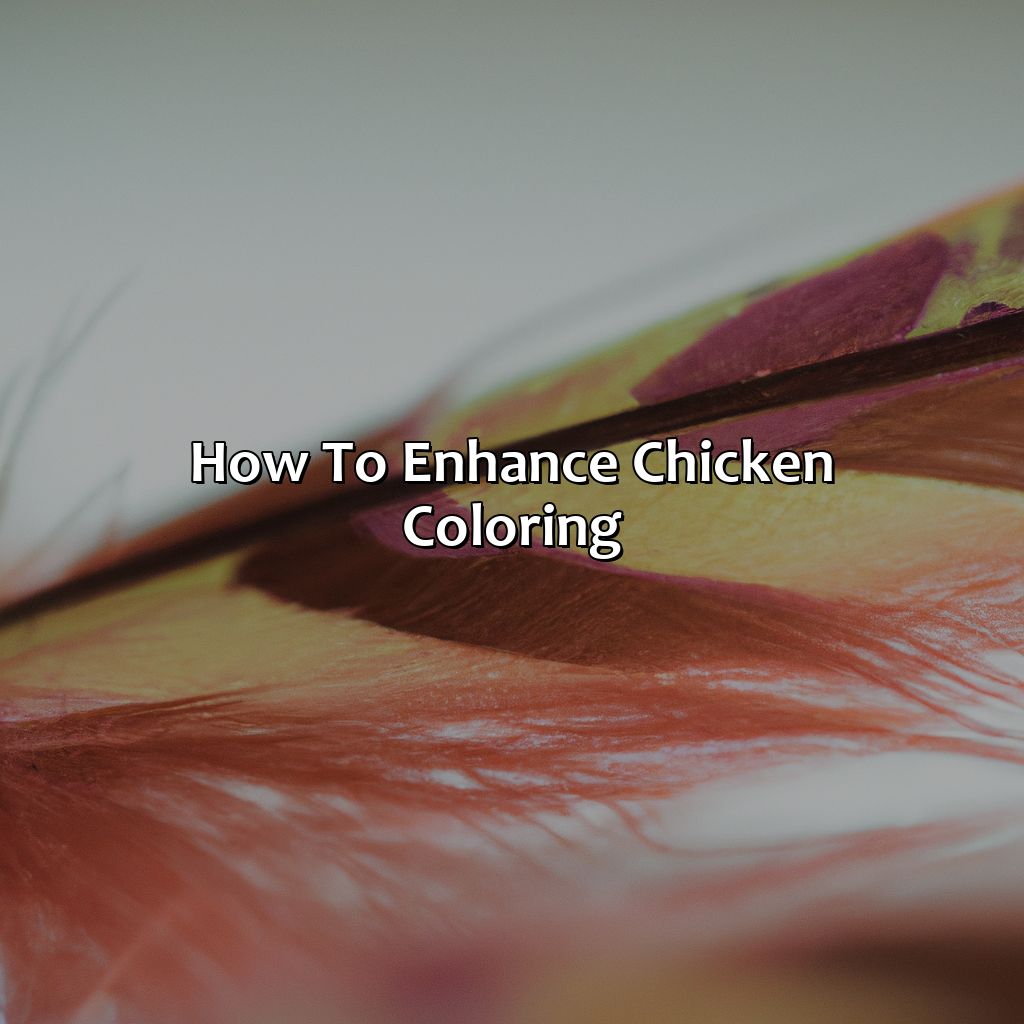 How To Enhance Chicken Coloring  - What Color Is A Chicken, 