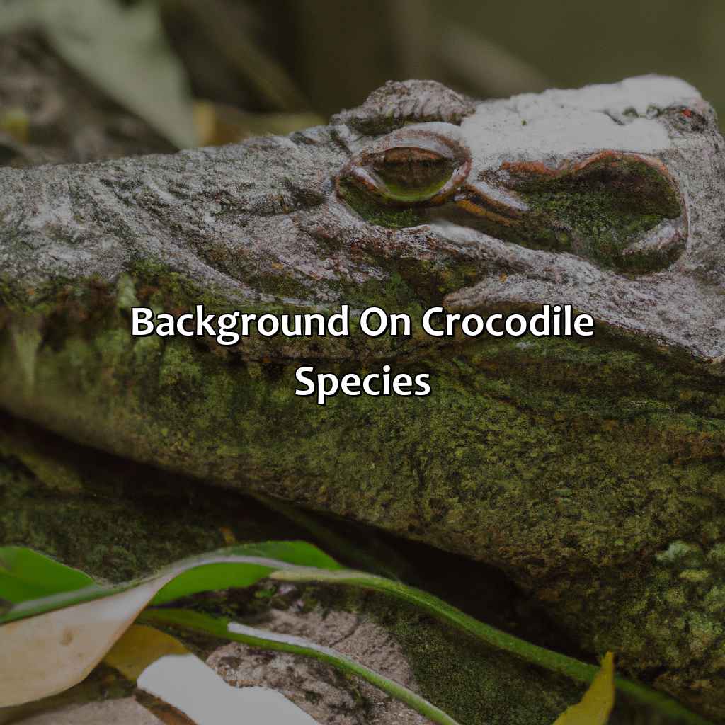 Background On Crocodile Species  - What Color Is A Crocodile, 