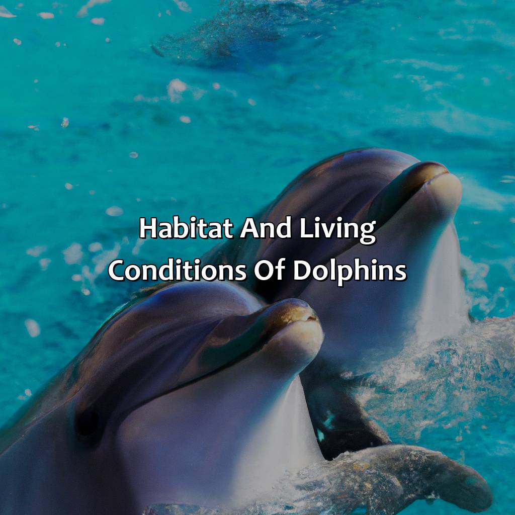 Habitat And Living Conditions Of Dolphins  - What Color Is A Dolphin, 
