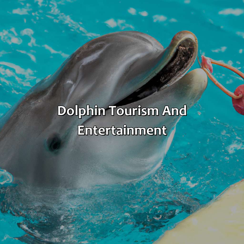 Dolphin Tourism And Entertainment  - What Color Is A Dolphin, 