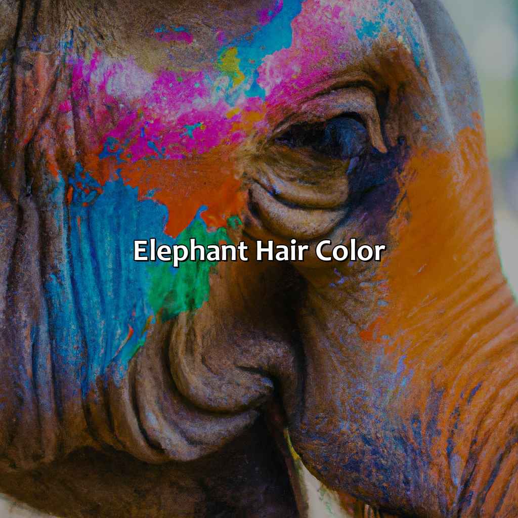 Elephant Hair Color  - What Color Is A Elephant, 