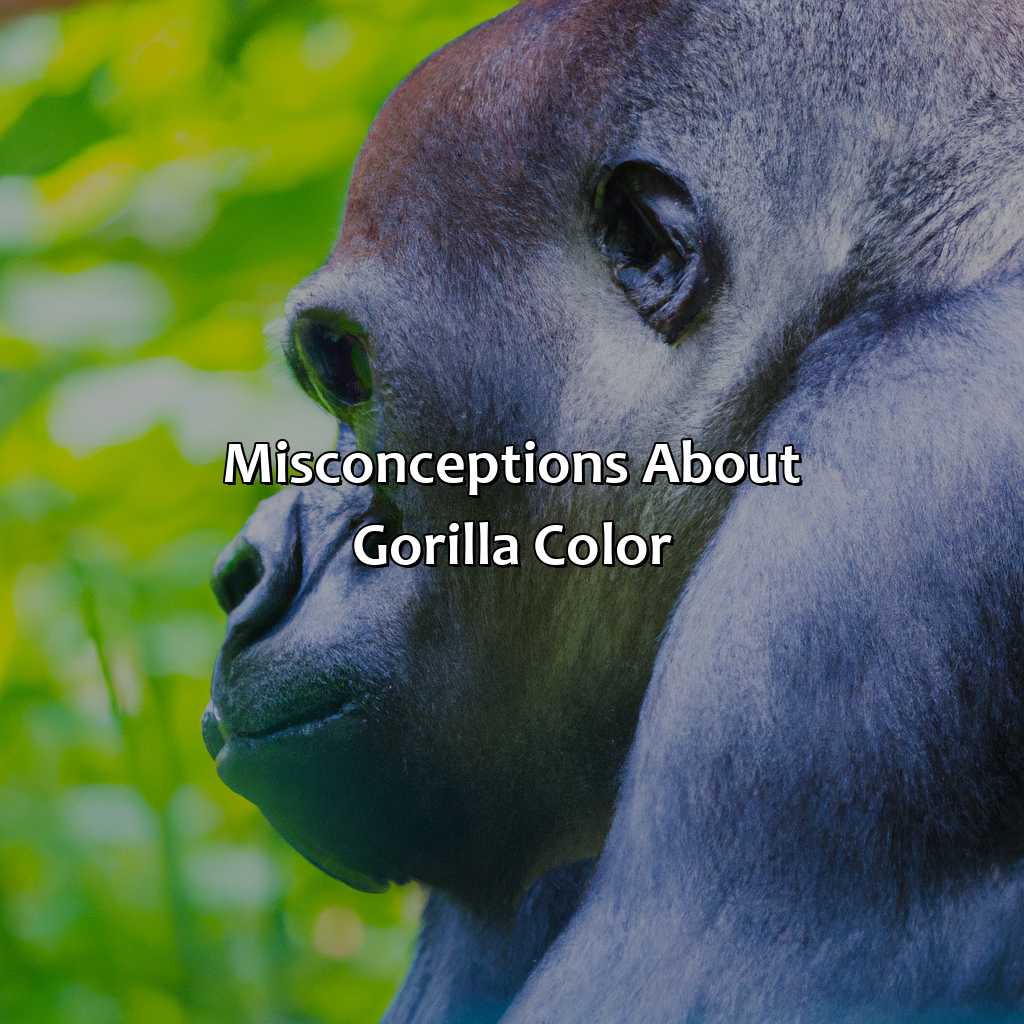 Misconceptions About Gorilla Color  - What Color Is A Gorilla, 