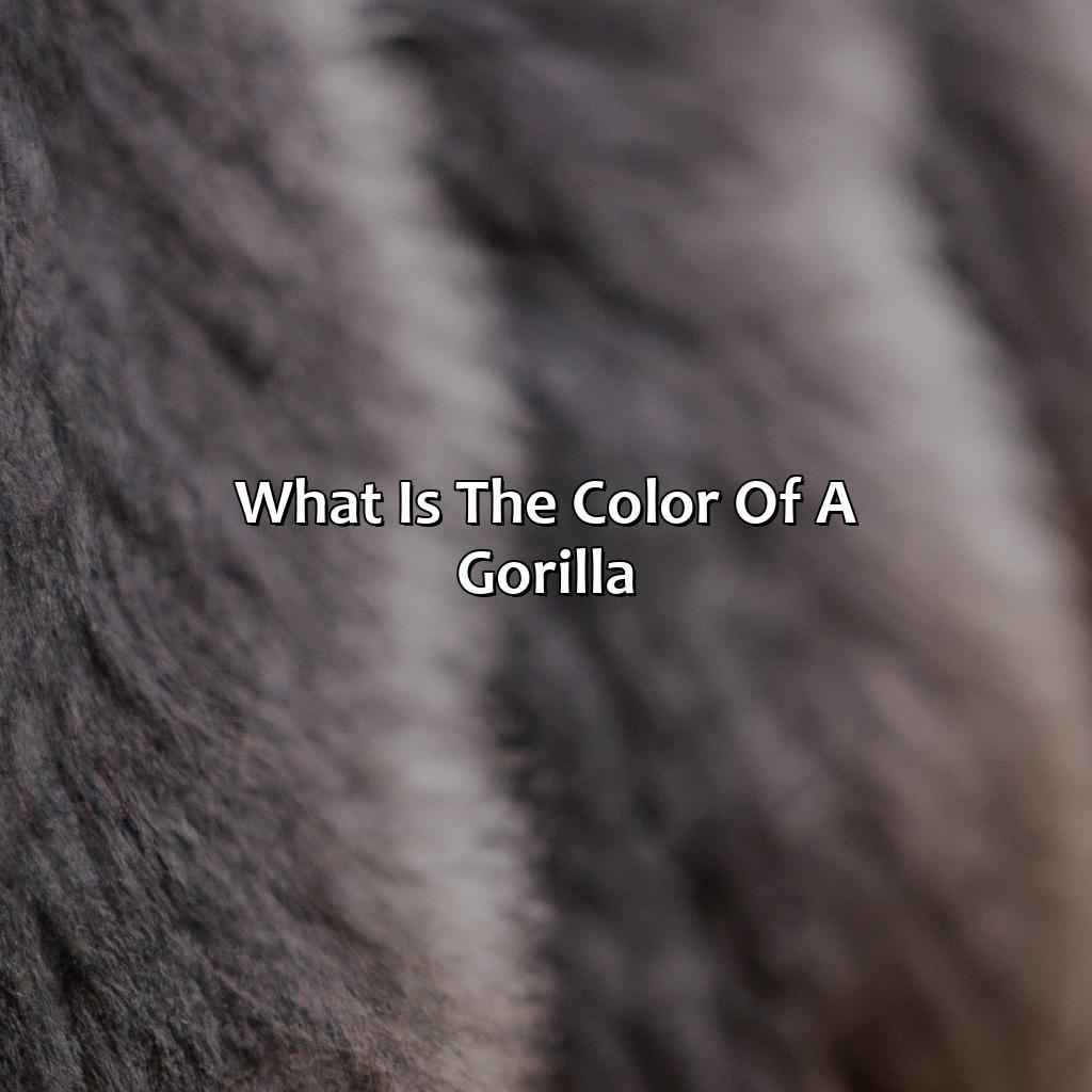 What Is The Color Of A Gorilla?  - What Color Is A Gorilla, 